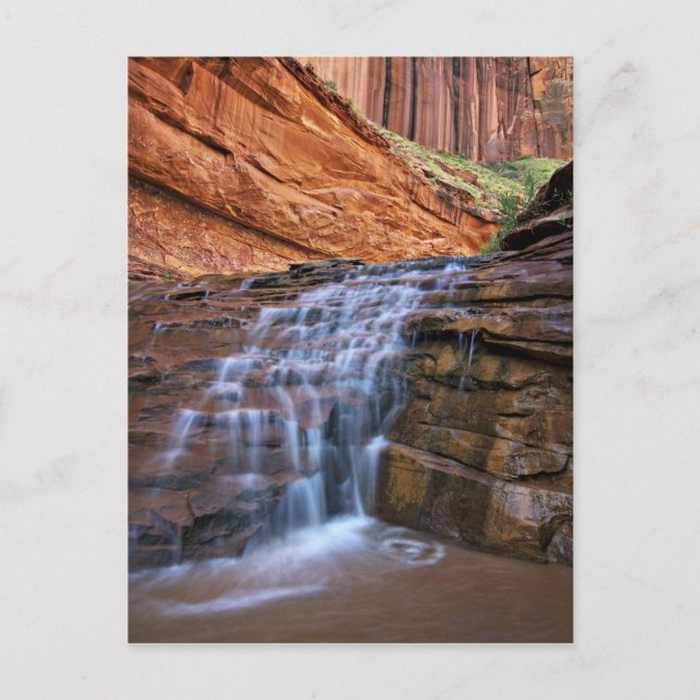 USA, Utah, Escalante Wilderness. Vattenfall i Vykort (Framsida)