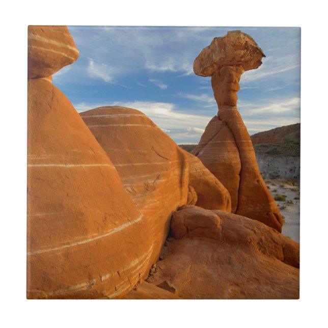 USA, Utah, Grand Staircase Escalante-Nationalmonum Kakelplatta (Framsidan)