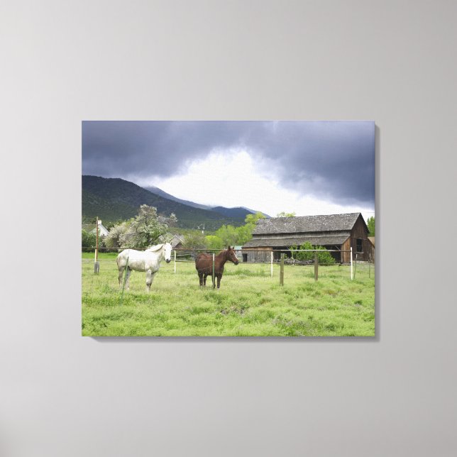USA, Utah, Horses on ranch Canvastryck (Framsida)
