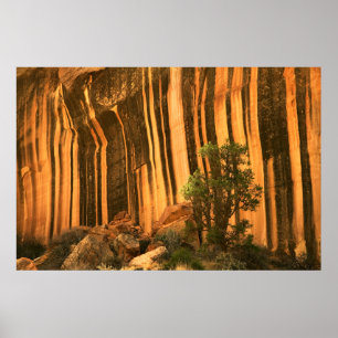 USA, Utah, Huvudstad Reef National Park Poster