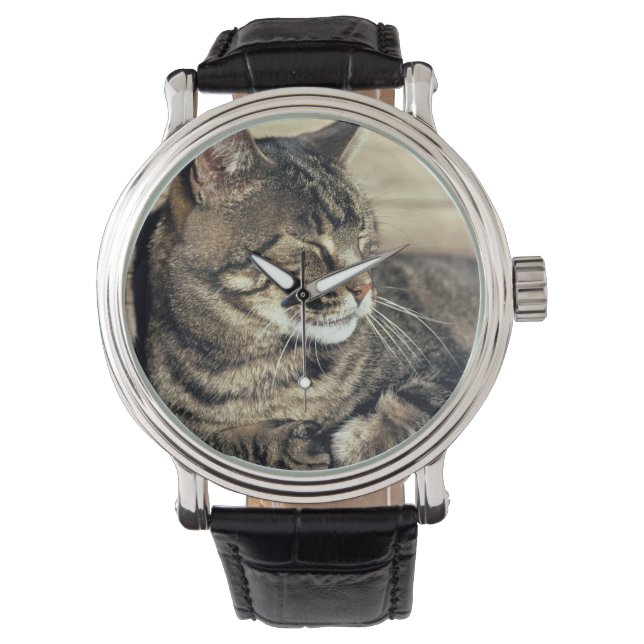 USA, Utah, Huvudstad Reef NP. Spipande tabby katt Armbandsur (Framsida)