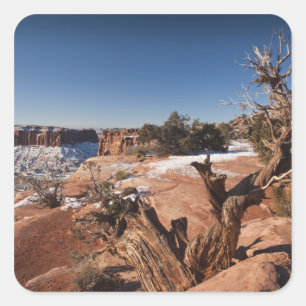 USA, Utah, Moab. Canyonlands National Park, Fyrkantigt Klistermärke