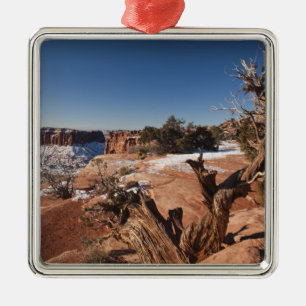 USA, Utah, Moab. Canyonlands National Park, Julgransprydnad Metall