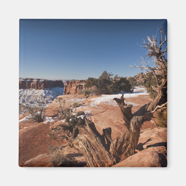 USA, Utah, Moab. Canyonlands National Park, Magnet (Framsidan)