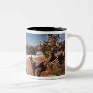 USA, Utah, Moab. Canyonlands National Park, Två-Tonad Mugg