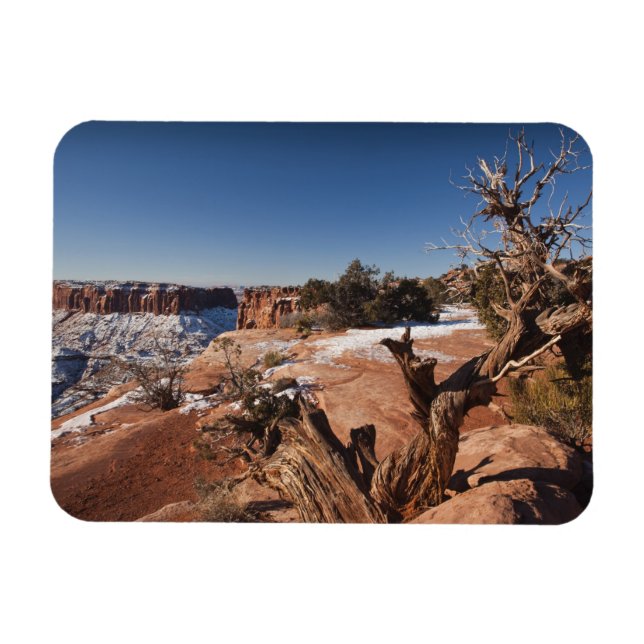 USA, Utah, Moab. Canyonlands nationalpark Magnet (Horisontell)