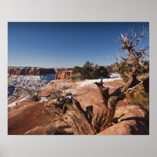 USA, Utah, Moab. Canyonlands nationalpark, Poster