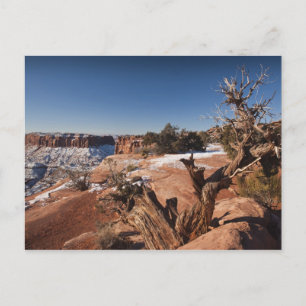 USA, Utah, Moab. Canyonlands nationalpark, Vykort