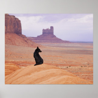 USA, Utah, Monument Valley, Hund vid sten Poster