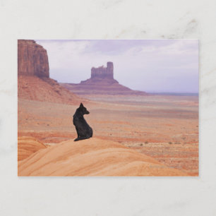USA, Utah, Monument Valley, Hund vid sten Vykort