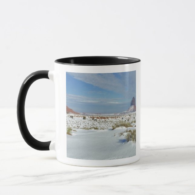 USA, Utah, Monument Valley. Malört syns Mugg (Vänster)