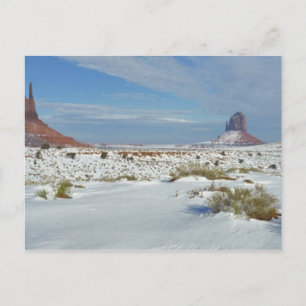 USA, Utah, Monument Valley. Malört syns Vykort