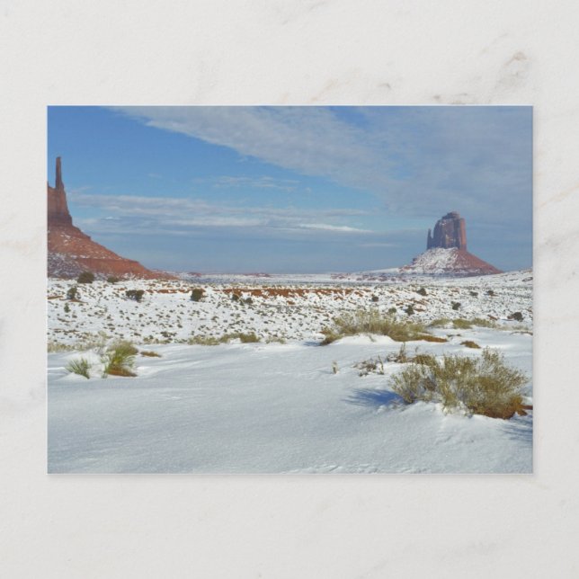 USA, Utah, Monument Valley. Malört syns Vykort (Framsida)