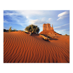 USA, Utah, Monument Valley. Vinden skapar Fototryck