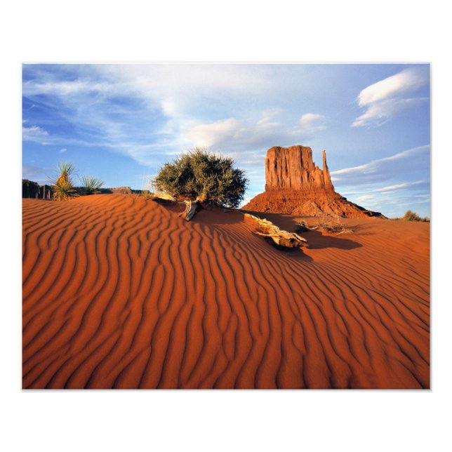 USA, Utah, Monument Valley. Vinden skapar Fototryck (Framsidan)