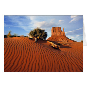 USA, Utah, Monument Valley. Vinden skapar Hälsningskort