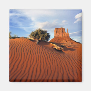 USA, Utah, Monument Valley. Vinden skapar Magnet