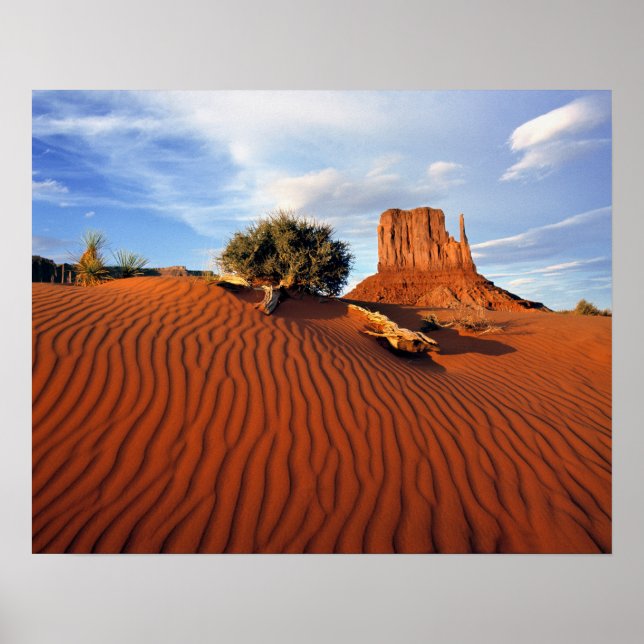 USA, Utah, Monument Valley. Vinden skapar Poster (Framsidan)