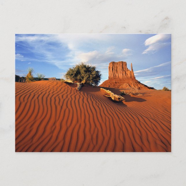 USA, Utah, Monument Valley. Vinden skapar Vykort (Framsida)