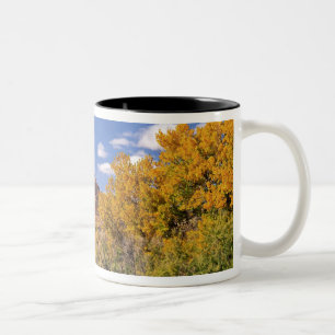 USA, Utah, nära Canyonlands National Park på Två-Tonad Mugg