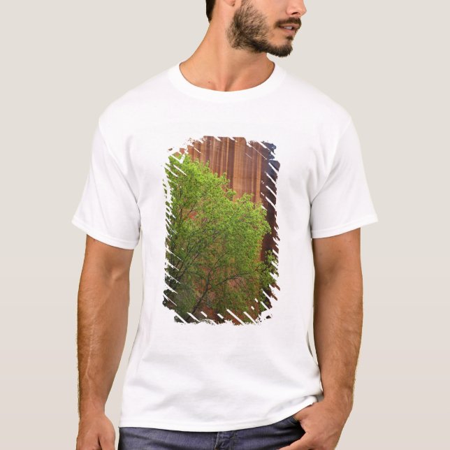 USA, Utah, Paria Canyon-Vermiljon Cliffs T-shirt (Framsida)