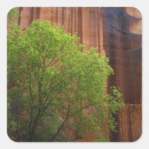 USA, Utah, Paria Canyon- Vermillion Cliffs Fyrkantigt Klistermärke