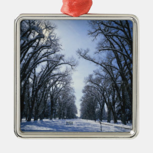 USA, Utah, Salt Lake City, Liberty Park, Julgransprydnad Metall