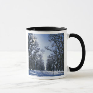 USA, Utah, Salt Lake City, Liberty Park, Mugg