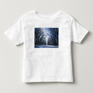 USA, Utah, Salt Lake City, Liberty Park, T Shirt