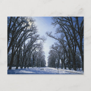 USA, Utah, Salt Lake City, Liberty Park, Vykort