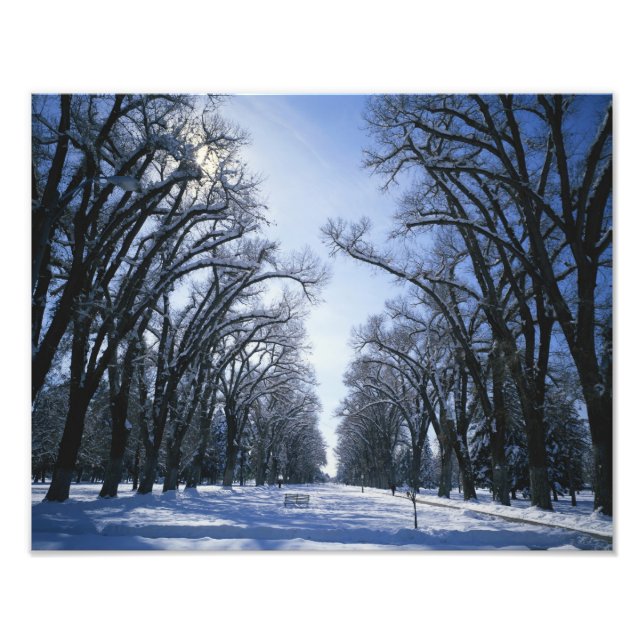 USA, Utah, Salt Sjö City, Liberty Park Fototryck (Framsidan)