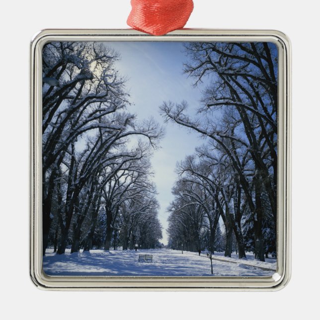 USA, Utah, Salt Sjö City, Liberty Park Julgransprydnad Metall (Framsidan)