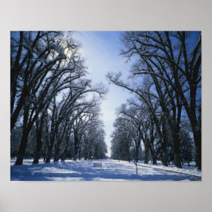 USA, Utah, Salt Sjö City, Liberty Park Poster