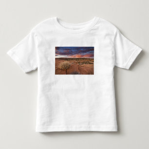 USA, Utah. Solnedgång vid Poison Spider Mesa nära Tee