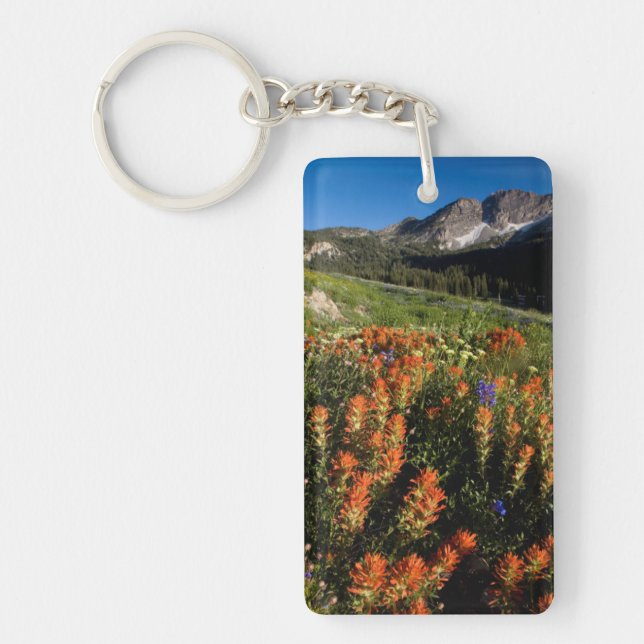 USA, Utah, Uinta-Wasatch-Cache National Forest (Framsidan)