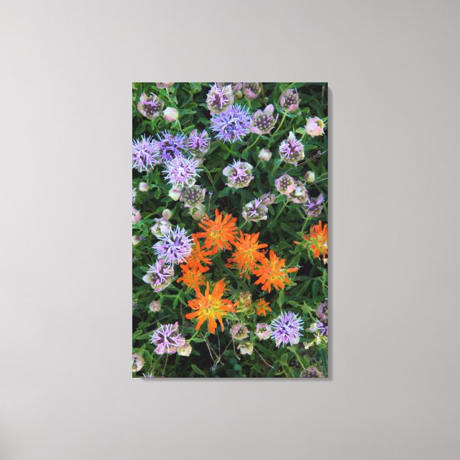 USA, Utah, Uinta-Wasatch-Cache National Forest 3 Canvastryck (Framsida)