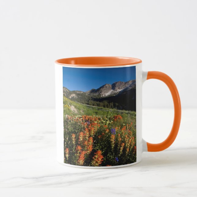 USA, Utah, Uinta-Wasatch-Cache National Forest Mugg (Höger)