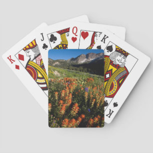 USA, Utah, Uinta-Wasatch-Cache National Forest Spel Kort