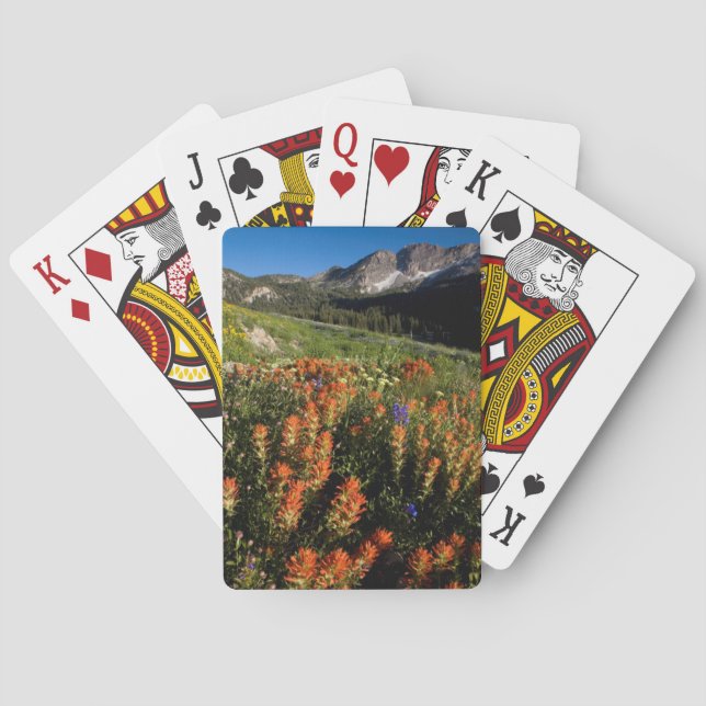 USA, Utah, Uinta-Wasatch-Cache National Forest Spel Kort (Baksidan)