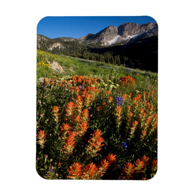 USA, Utah, Uinta-Wasatch-Cache nationalskog Magnet (Vertikal)