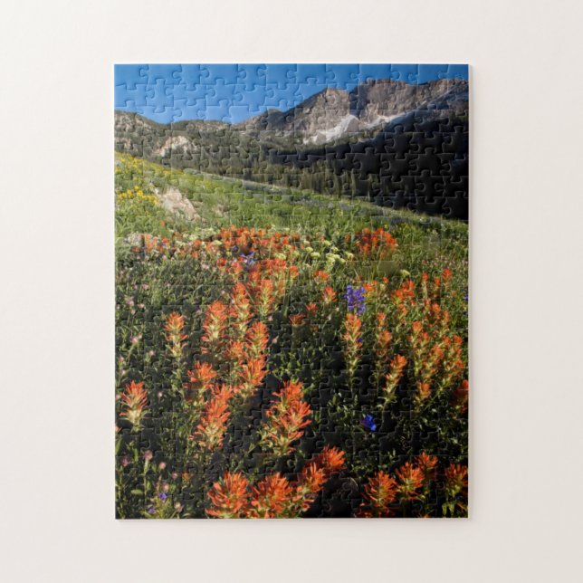 USA, Utah, Uinta-Wasatch-Cache nationalskog Pussel (Vertikal)