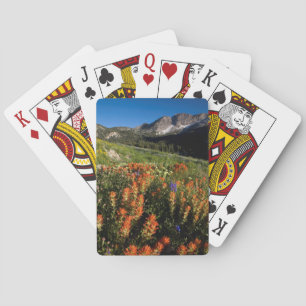 USA, Utah, Uinta-Wasatch-Cache nationalskog Spelkort