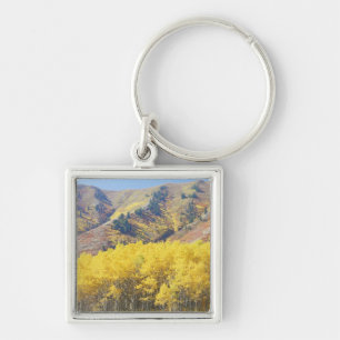 USA, Utah, Wasatch-Cache National Forest, Fyrkantig Silverfärgad Nyckelring