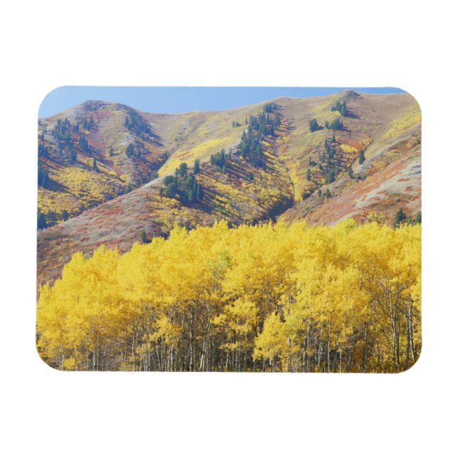 USA, Utah, Wasatch-Cache National Forest, Magnet (Horisontell)