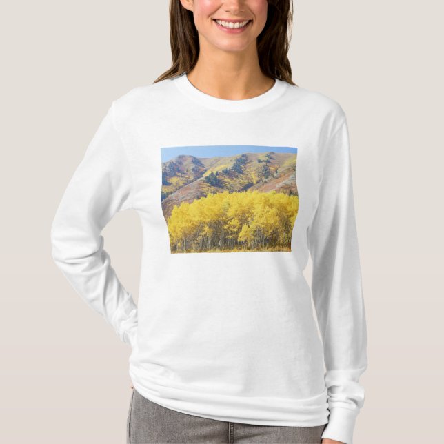 USA, Utah, Wasatch-Cache National Forest T-shirt (Framsida)
