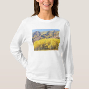 USA, Utah, Wasatch-Cache National Forest, Tröja