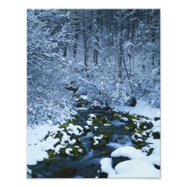 USA, Utah, Wasatch-Catch National Forest Fototryck