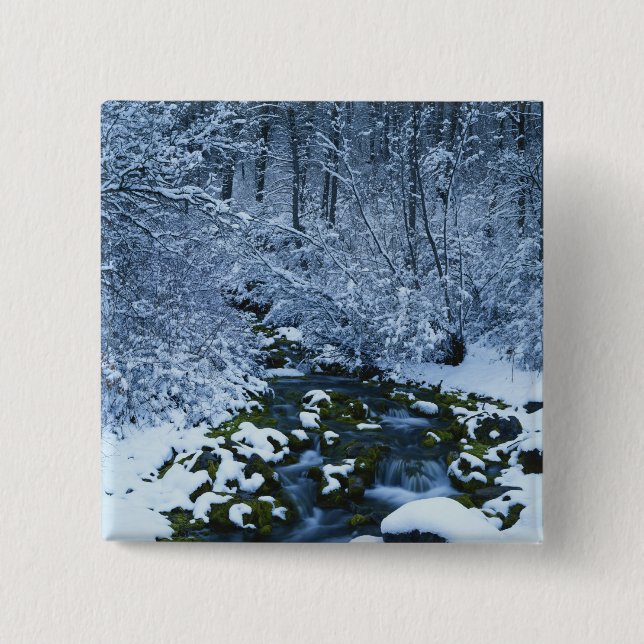 USA, Utah, Wasatch-Catch National Forest, Knapp (Framsida)