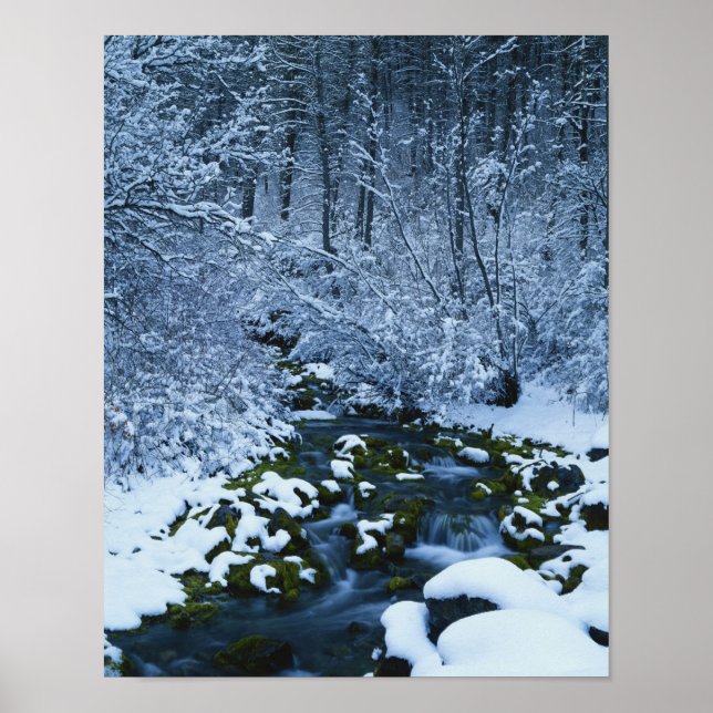 USA, Utah, Wasatch-Catch National Forest Poster (Framsidan)