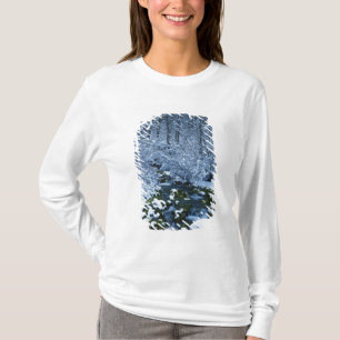 USA, Utah, Wasatch-Catch National Forest, Tee Shirt